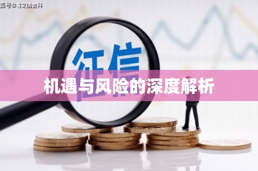 独山子机遇与风险的深度解析