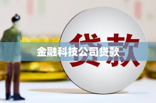 项城金融科技公司贷款