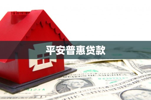 特克斯平安普惠贷款