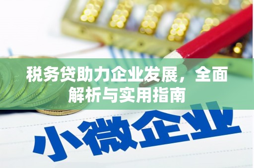 丰都税务贷助力企业发展，全面解析与实用指南