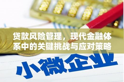 邵武贷款风险管理，现代金融体系中的关键挑战与应对策略