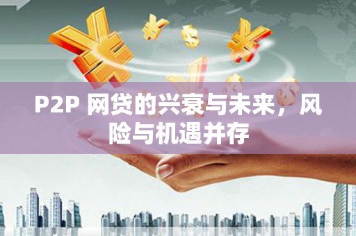 青山P2P 网贷的兴衰与未来，风险与机遇并存