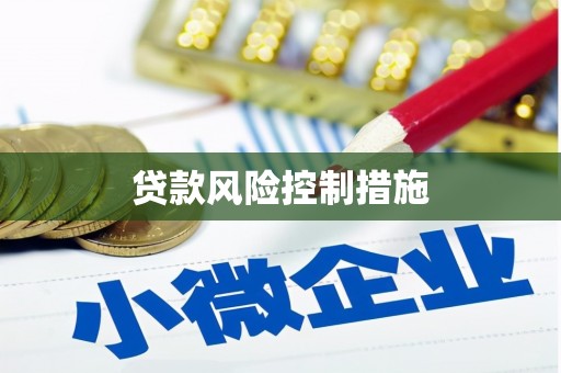 崇信贷款风险控制措施