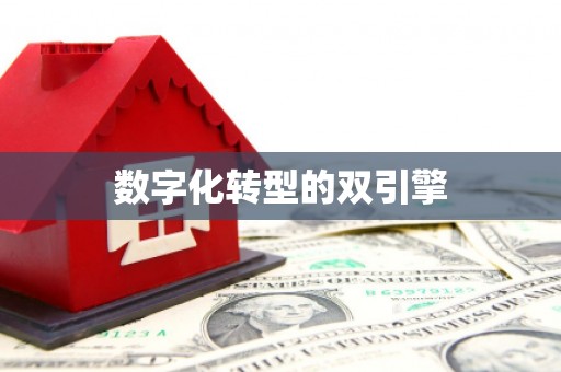 呼和浩特数字化转型的双引擎