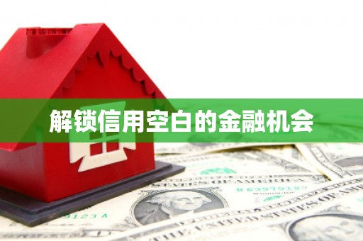 莎车解锁信用空白的金融机会