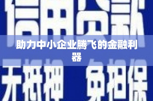 沙湾助力中小企业腾飞的金融利器