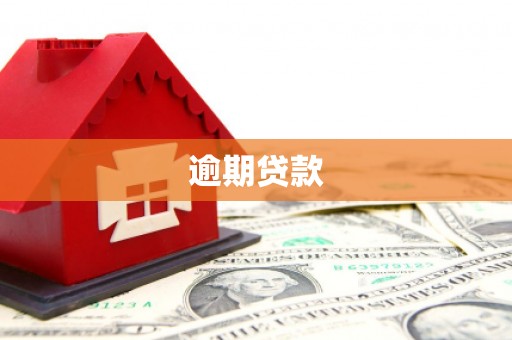 蓬江逾期贷款