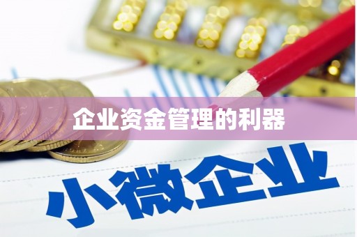 稻城企业资金管理的利器