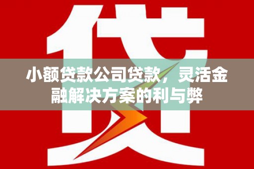 昌乐小额贷款公司贷款，灵活金融解决方案的利与弊